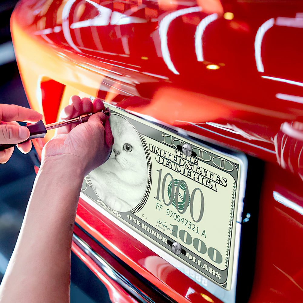 Personalized Custom Photo Money Front Cars License Plates