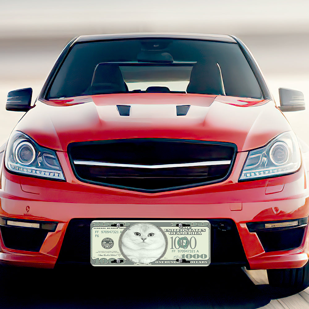 Personalized Custom Photo Money Front Cars License Plates
