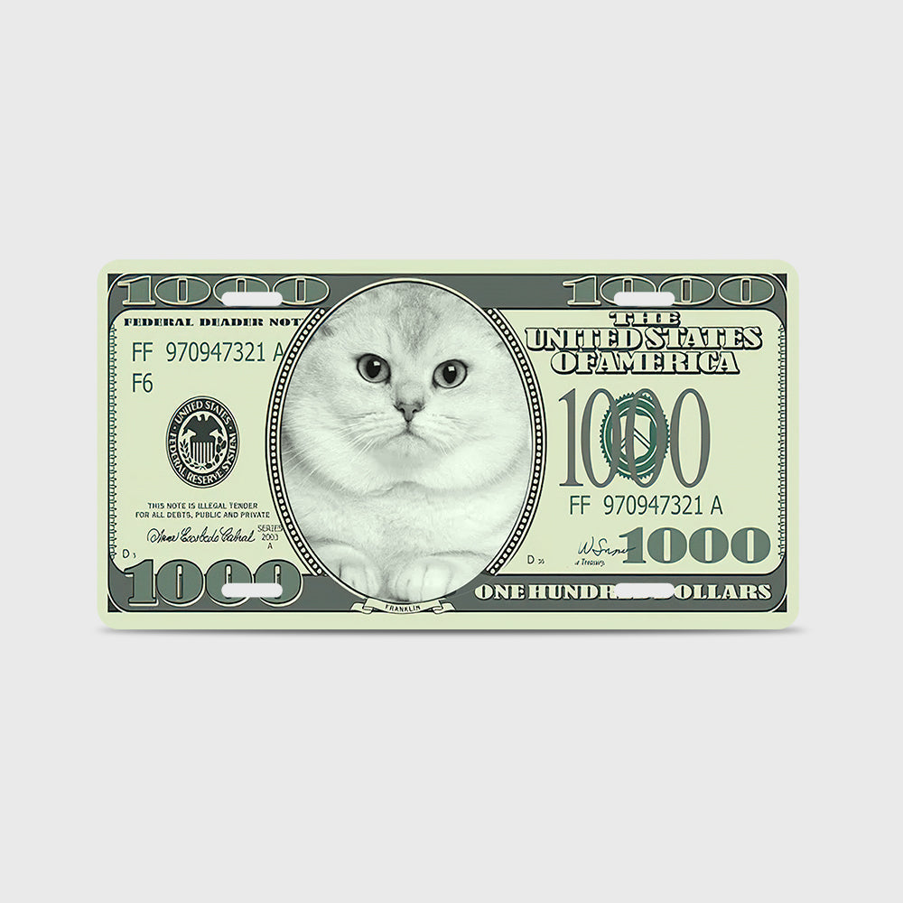 Personalized Custom Photo Money Front Cars License Plates
