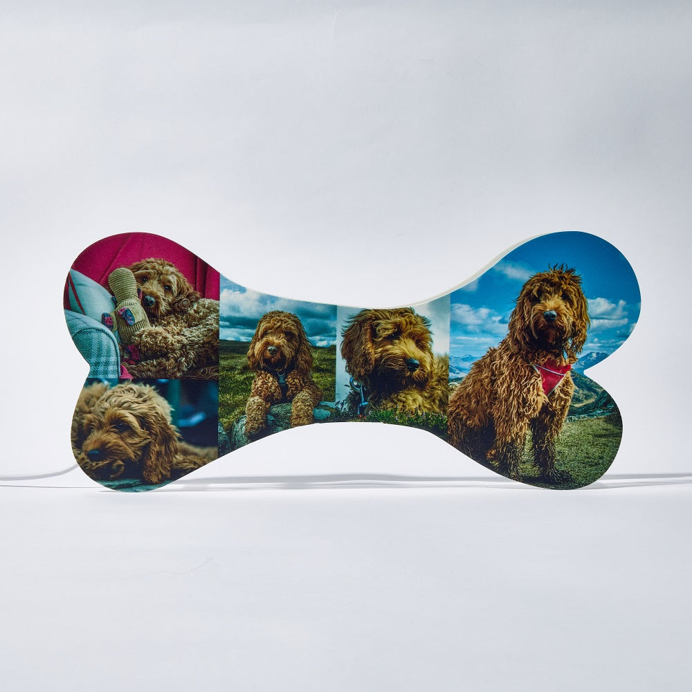 Personalized Pet Dogs Cats Bone Night Light with 5 Pictures / Photo