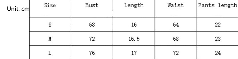 2pcs Women's Lace Fashion Underwear Bikini Suit