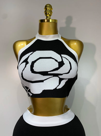 Sexy Halter Backless Two Pieces Bandage Nightclub Party Birthday Evening Dress