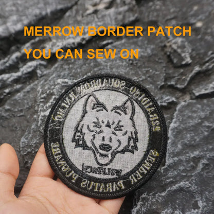 22 Raiding Squadron Embroidered Patch Iron-On Sewing Clothes Patches Applique