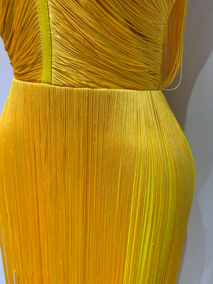 Sexy Sleeveless Tassels Bandage Celebrity Evening Party Birthday Cocktail Dress