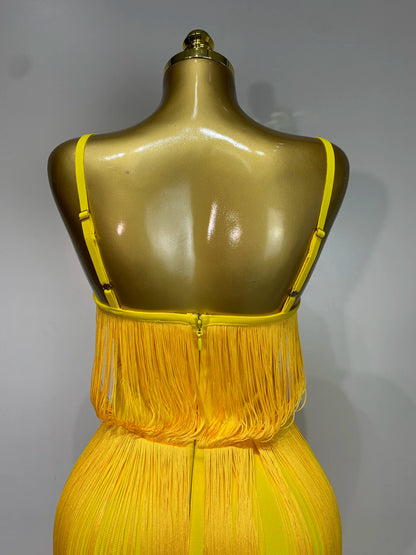 Sexy Sleeveless Tassels Bandage Celebrity Evening Party Birthday Cocktail Dress